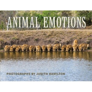 ANIMAL EMOTIONS