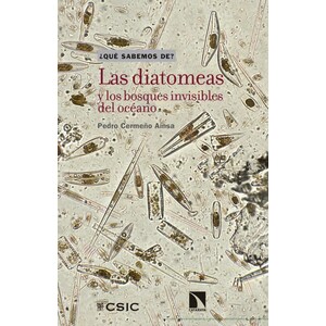 LAS DIATOMEAS Y LOS BOSQUES

INVISIBLES DEL OCÉANO