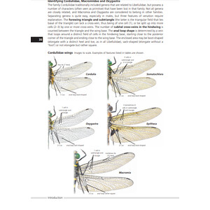 FIELD GUIDE TO THE DRAGONFLIES OF BRITAIN AND EUROPE INCLUDING WESTERN TURKEY AND NORTH-WESTERN AFRICA 4