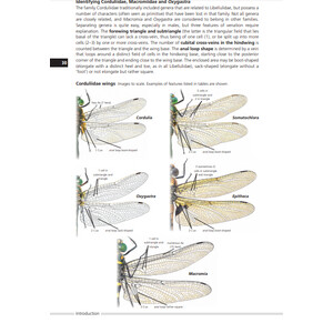FIELD GUIDE TO THE DRAGONFLIES OF BRITAIN AND EUROPE INCLUDING WESTERN TURKEY AND NORTH-WESTERN AFRICA 4