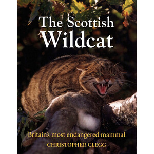 THE SCOTTISH WILDCAT: BRITAIN'S MOST ENDANGERED MAMMAL