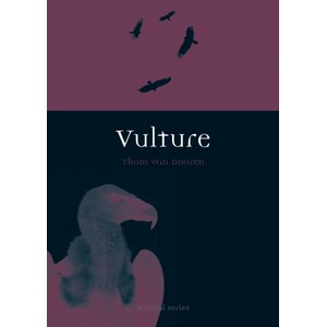 VULTURE