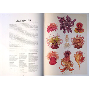 BENVINGUTS AL MUSEU. OCEANÀRIUM_1