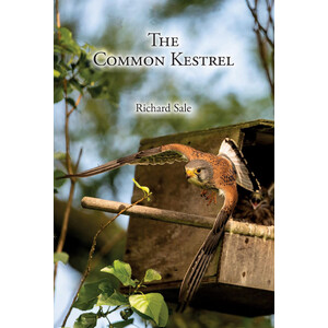 THE COMMON KESTREL