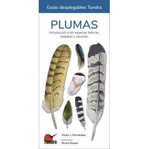 PLUMAS. INTRODUCCIÓN A LAS ESPECIES IBÉRICAS, BALEARES Y CANARIAS. GUÍAS DESPLEGABLES TUNDRA