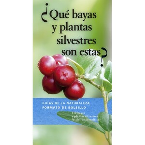 ¿QUÉ BAYAS Y PLANTAS SILVESTRES SON ESTAS?