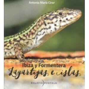 IBIZA Y FORMENTERA. LAGARTIJAS E ISLAS