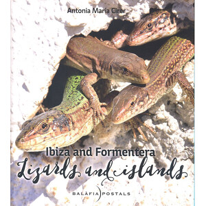 IBIZA AND FORMENTERA. LIZARDS AND ISLANDS