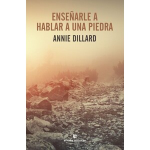 ENSEÑARLE A HABLAR A UNA PIEDRA