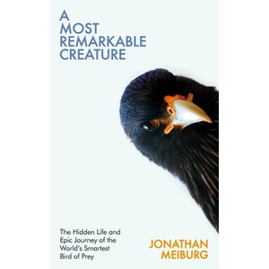 A MOST REMARKABLE CREATURE: THE HIDDEN LIFE AND EPIC JOURNEY OF THE WORL'D SMARTEST BIRD OF PREY