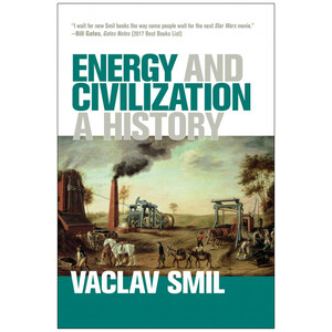 ENERGY AND CIVILIZATION: A HISTORY