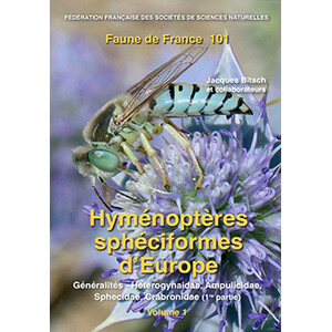 FAUNE DE FRANCE. VOLUME 101: HYMÉNOPTÈRES SPÉCIFORMES D'EUROPE, VOL. 1. GÉNÉRALITÉS, AMPULICIDAE, SPHECIDAE, CRABRONIDAE (1ÈRE PARTIE)