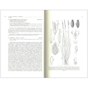 FLORA IBÉRICA. VOL. XIX GRAMINEAE (PARTIM 1) 3