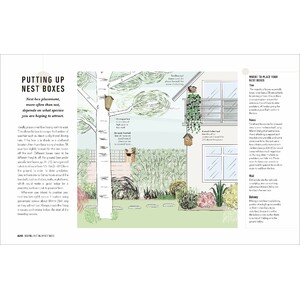 HOW TO ATTRACT BIRDS TO YOUR GARDEN: FOOD THEY LIKE, PLANTS THEY LOVE, SHELTER THEY NEED 3