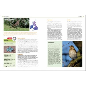 GARDEN BIRDS AND OTHER WILDLIFE_1