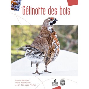 LA GÉLINOTTE DES BOIS