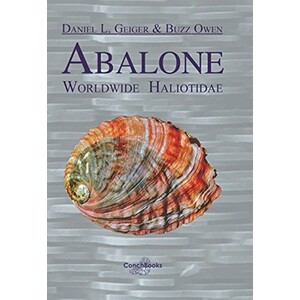 ABALONE. WORLDWIDE HALIOTIDAE