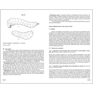 SAWFLIES OF EUROPE. HYMENOPTERA OF EUROPE 2_1