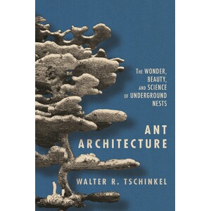 ANT ARCHITECTURE THE WONDER, BEAUTY, AND SCIENCE OF UNDERGROUND NESTS