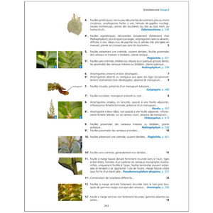 LES BRYOPHYTES DE FRANCE TOME 1. ANTHOCÉROTES ET HÉPATIQUES 5