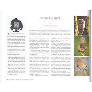 VIAJE VISUAL Y SONORO POR LOS BOSQUES DE ESPAÑA_1