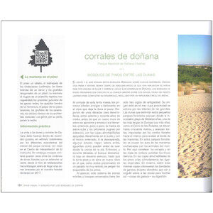 VIAJE VISUAL Y SONORO POR LOS BOSQUES DE ESPAÑA 3