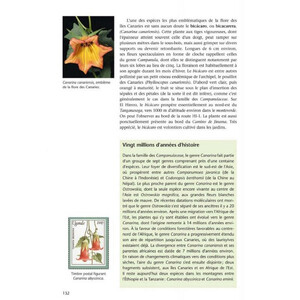FLORE ET VÉGÉTATION DE L'ÎLE D'EL HIERRO CANARIES 5