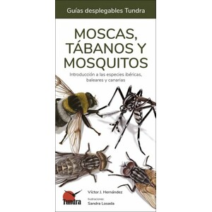 MOSCAS, TÁBANOS Y MOSQUITOS. INTRODUCCIÓN A LAS ESPECIES IBÉRICAS, BALEARES Y CANARIAS. GUÍAS DESPLEGABLES TUNDRA