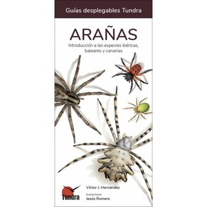ARAÑAS. INTRODUCCIÓN A LAS ESPECIES IBÉRICAS, BALEARES Y CANARIAS. GUÍAS DESPLEGABLES TUNDRA