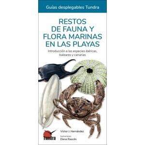 RESTOS DE FAUNA Y FLORA MARINAS EN LAS PLAYAS. INTRODUCCIÓN A LAS ESPECIES IBÉRICAS, BALEARES Y CANARIAS. GUÍAS DESPLEGABLES TUNDRA