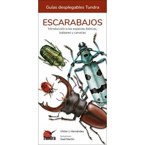 ESCARABAJOS. INTRODUCCIÓN A LAS ESPECIES IBÉRICAS, BALEARES Y CANARIAS. GUÍAS DESPLEGABLES TUNDRA