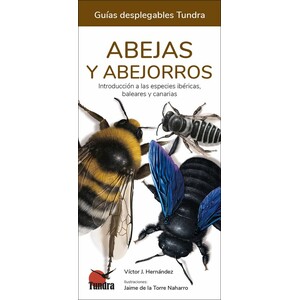 ABEJAS Y ABEJORROS. INTRODUCCIÓN A LAS ESPECIES IBÉRICAS, BALEARES Y CANARIAS. GUÍAS DESPLEGABLES TUNDRA