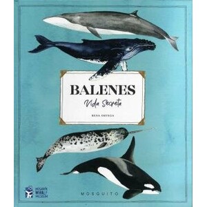 BALENES. VIDA SECRETA
