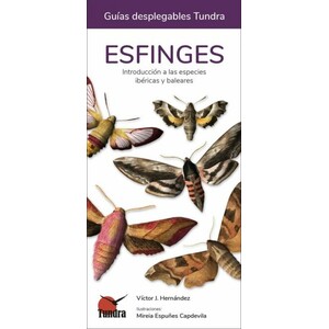ESFINGES. INTRODUCCIÓN A LAS ESPECIES IBÉRICAS, BALEARES Y CANARIAS. GUÍAS DESPLEGABLES TUNDRA