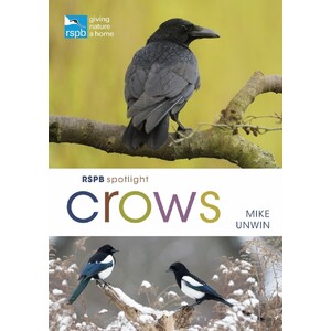 RSPB SPOTLIGHT. CROWS