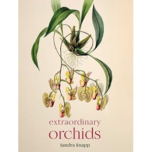 EXTRAORDINARY ORCHIDS