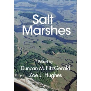 SALT MARSHES: FUNCTION, DYNAMICS, AND STRESSES