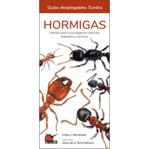 HORMIGAS. INTRODUCCIÓN A LAS ESPECIES IBÉRICAS, BALEARES Y CANARIAS. GUÍAS DESPLEGABLES TUNDRA