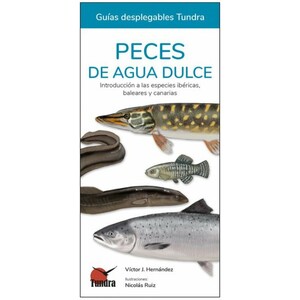PECES DE AGUA DULCE. INTRODUCCIÓN A LAS ESPECIES IBÉRICAS, BALEARES Y CANARIAS. GUÍAS DESPLEGABLES TUNDRA