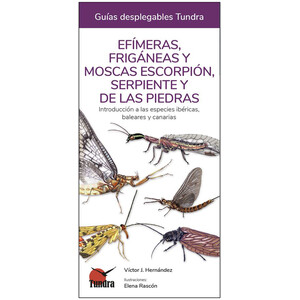 EFÍMERAS, FRIGÁNEAS Y MOSCAS ESCORPIÓN, SERPIENTE Y DE LAS PIEDRAS. INTRODUCCIÓN A LAS ESPECIES IBÉRICAS, BALEARES Y CANARIAS. GUÍAS DESPLEGABLES TUND