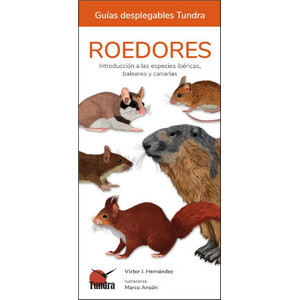 ROEDORES. INTRODUCCIÓN A LAS ESPECIES IBÉRICAS, BALEARES Y CANARIAS. GUÍAS DESPLEGABLES TUNDRA