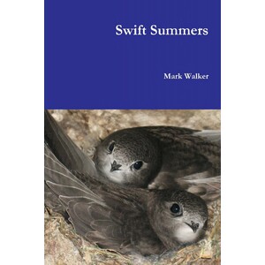 SWIFT SUMMERS