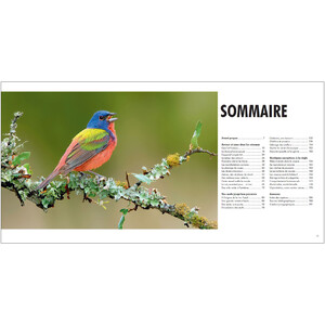 SEXE ET SEDUCTION CHEZ LES OISEAUX_1