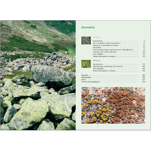 MOUSSES ET LICHENS. 290 ESPECES FACILES A IDENTIFIER_1