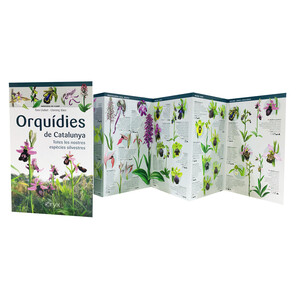 ORQUÍDIES DE CATALUNYA. TOTES LES NOSTRES ESPÈCIES SILVESTRES. MINIGUIA DE CAMP_1