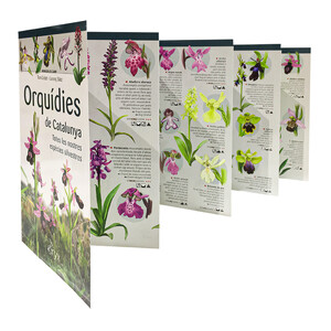 ORQUÍDIES DE CATALUNYA. TOTES LES NOSTRES ESPÈCIES SILVESTRES. MINIGUIA DE CAMP 4