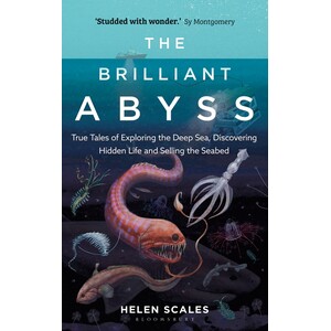 THE BRILLANT ABYSS