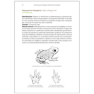 GUÍA DE LOS ANFIBIOS Y REPTILES DE ESPAÑA 3