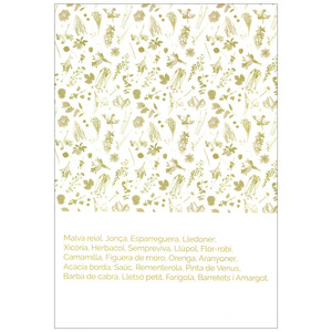 EL LLIBRE DE LES PLANTES SILVESTRES COMESTIBLES 3_1