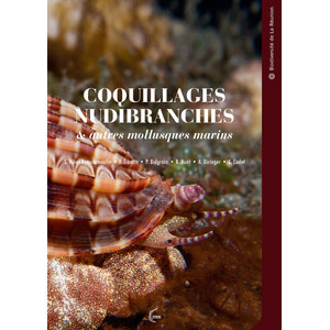 COQUILLAGES NUDIBRANCHES &AMP; AUTRES MOLLUSQUES MARINS